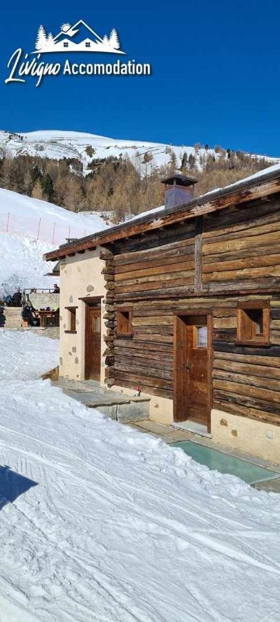Mountain Chalet Scoiattolo By Livigno Accomodation Exterior foto