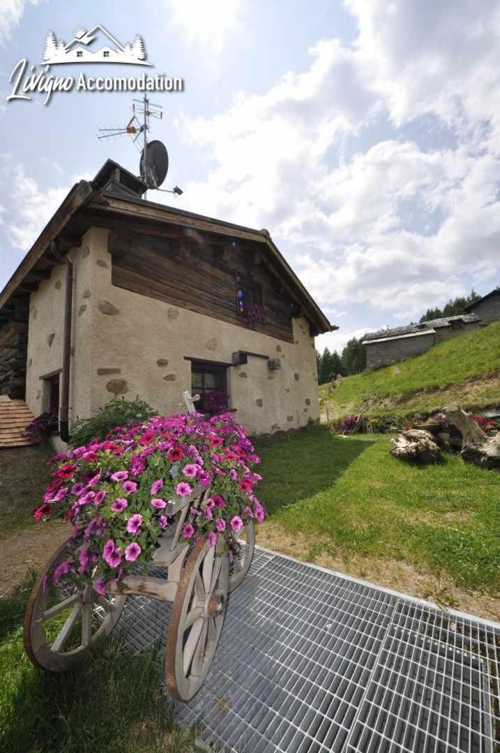 Mountain Chalet Scoiattolo By Livigno Accomodation Exterior foto